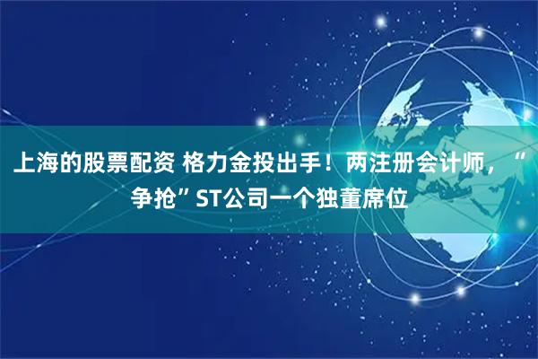上海的股票配资 格力金投出手！两注册会计师，“争抢”ST公司一个独董席位